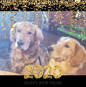 Meet your Posher, Shontel